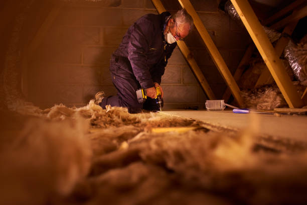 Best Insulation Maintenance and Repair in Post, TX